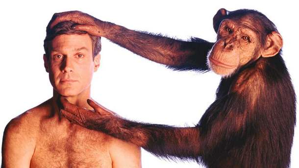 Почему у приматов больше волос на теле, чем у людей