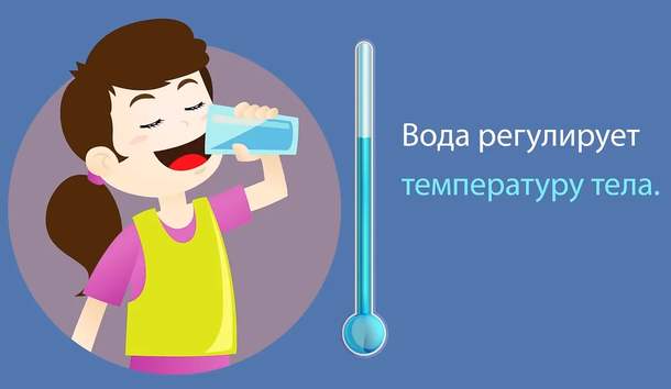 Снижают ли температуру тела холодные напитки