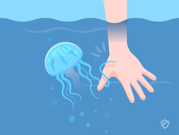 Урина снизит боль от ожога медузы